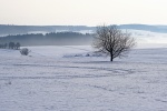 Winter snowy landscape desktop wallpaper