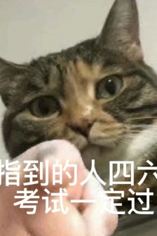 A must-pass expression pack for level 4 and level 6