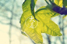 Small fresh summer computer wallpaper picture HD