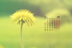 March 2022 yellow flowers fresh desktop calendar wallpaper