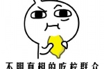 不明真相的吃柠群众