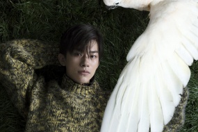 Handsome guy Yi Yang Qianxi's night photo wallpaper