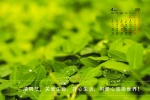 April 2022 Qingming Festival desktop calendar wallpaper
