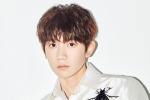 Wang Yuan computer desktop wallpaper pictures