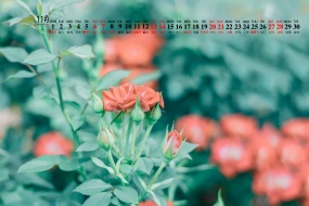 November 2021 Eye-Protect Plants and Flowers Desktop Calendar Wallpaper