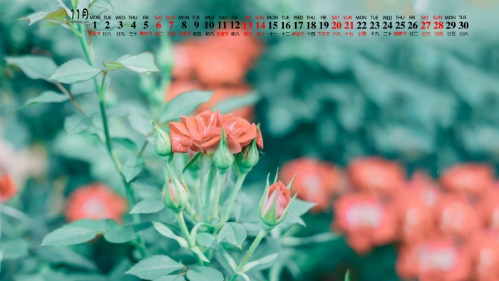 2021年11月护眼植物花卉桌面日历壁纸