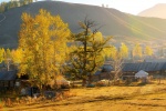 Xinjiang Altay autumn scenery pictures desktop wallpaper