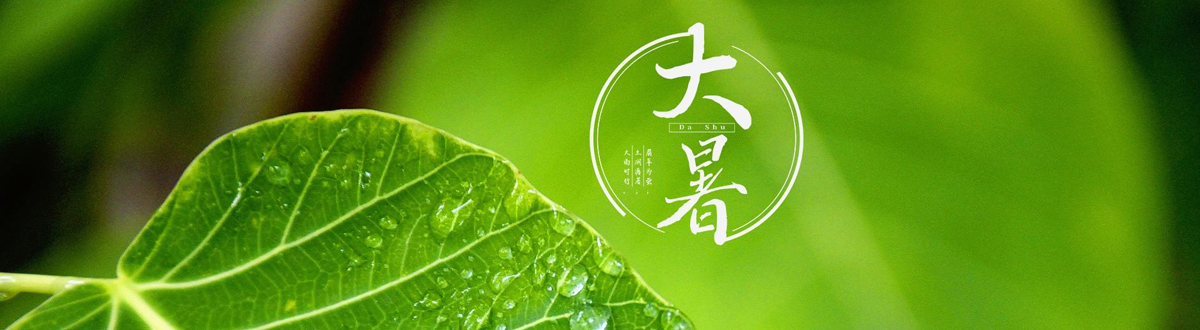 Summer desktop wallpaper