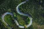 Empty forest road scenery mobile wallpaper