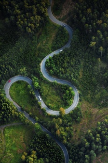 Empty forest road scenery mobile wallpaper