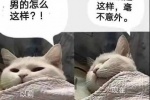 男的怎么这样？
男的就是这样，毫无意外表情包