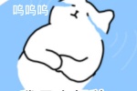 流泪猫猫大怨种系列表情包