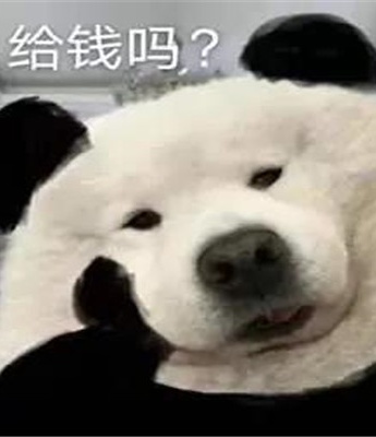 Give me money? Dog holding chin emoticon pack