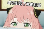 成功引起了我的注意