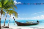 August 2021 island coconut tree desktop calendar wallpaper