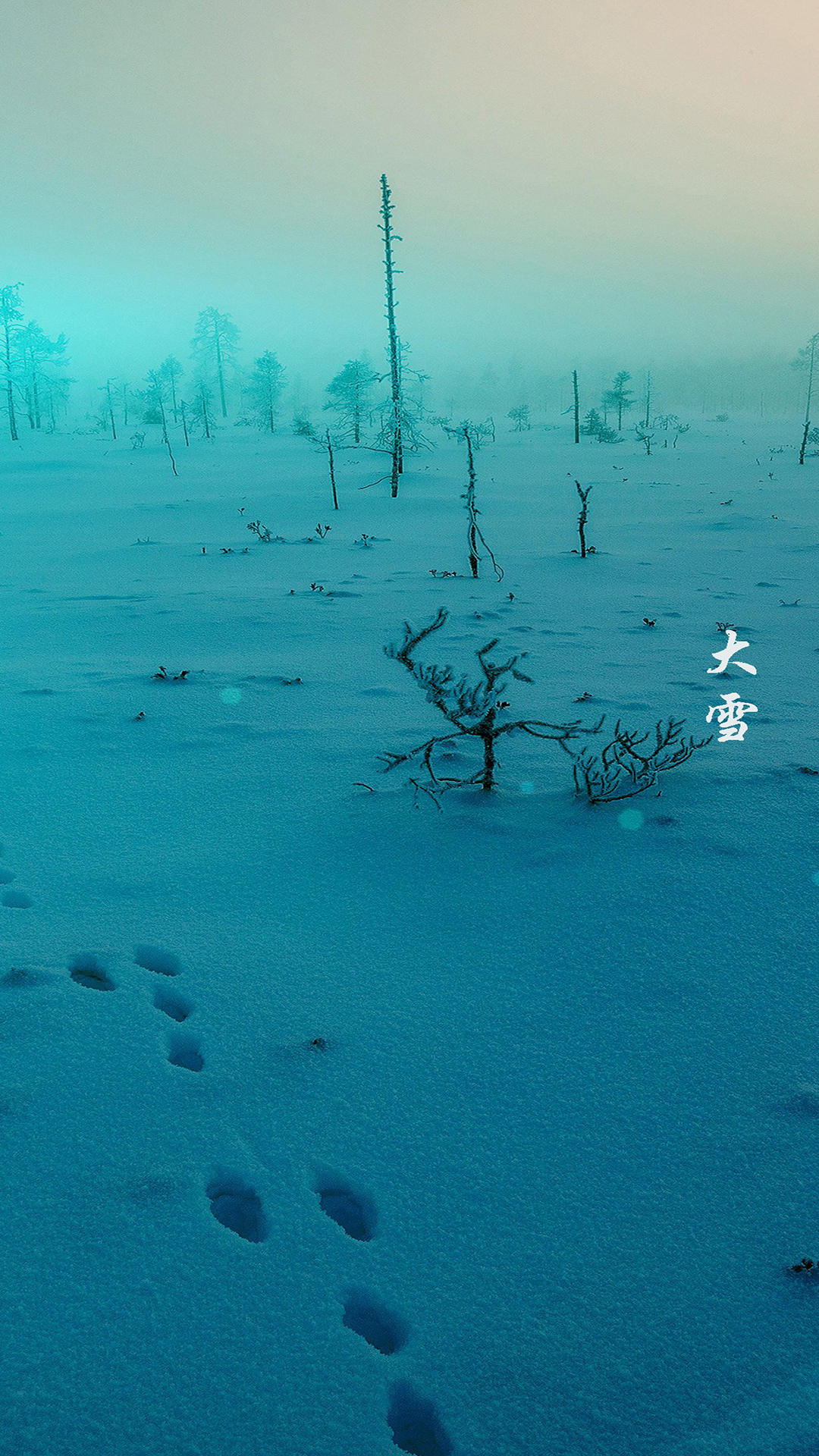 林海雪原与中国雪乡|摄影|风光|魔浪 - 原创作品 - 站酷 (ZCOOL)