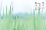 Eye protection natural scenery calendar wallpaper for March 2022