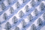Beautiful winter snow scene pictures computer wallpapers series 1