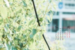 2021年9月绿色主题风景桌面日历壁纸