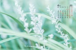 2022年4月绿叶花卉蓝天桌面日历壁纸
