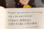 《The Little Prince》Classic Quotations Pictures