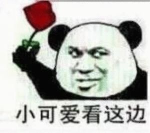 熊猫头手持玫瑰花表情包
