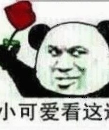 Panda head holding rose emoticon pack