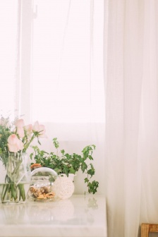 Simple and fresh home still life photography mobile wallpaper