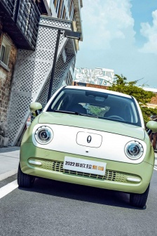 高清欧拉黑猫图片