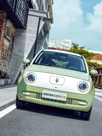 HD Euler black cat pictures