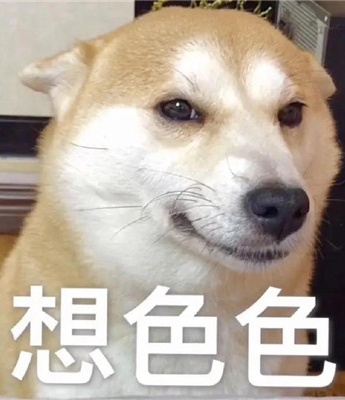 熱門狗狗色色表情包圖片