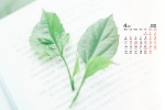 2022年4月绿色清新桌面日历壁纸