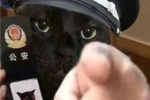 Kitten police funny emoticon picture