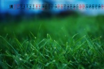 January 2022 elegant eye-protecting green calendar wallpaper