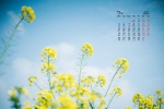 July 2021 flowers and green plants eye protection desktop calendar wallpaper
