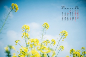 July 2021 flowers and green plants eye protection desktop calendar wallpaper