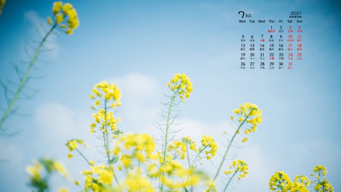 July 2021 flowers and green plants eye protection desktop calendar wallpaper