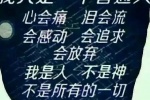 我只是一个普通人 心会痛 泪会流 会感动 会追求 会放弃 我是人 不是神 不是所有的一切我都能承受