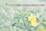 2021年6月绿色小清新桌面日历壁纸