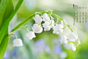 January 2022 Flower Botanical Calendar Wallpaper