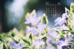 July 2021 summer grass green leaves eye protection desktop calendar wallpaper