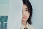 Beauty star Zhang Zifeng computer desktop wallpaper