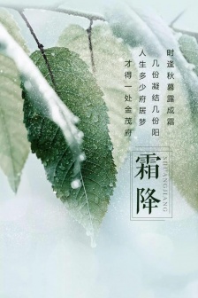 Frost Festival fresh mobile phone lock screen wallpaper