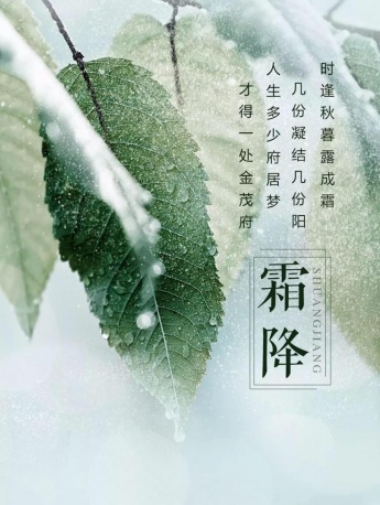 霜降节日清新手机锁屏壁纸