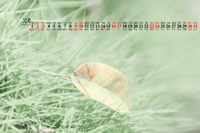 October 2021 fresh eye-protecting desktop calendar wallpaper