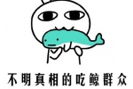 不明真相的吃鲸群众