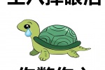 王八掉眼泪 你鳖伤心