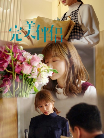 《完美伴侣》开播海报图片