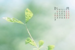 February 2022 Eye Protection HD Desktop Calendar Wallpaper