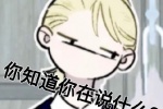 你知道你在说什么？